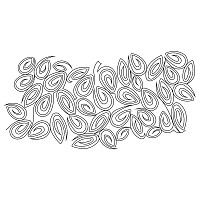 shape study e2e 002
